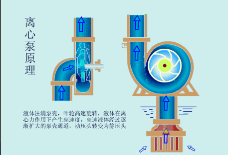 离心泵第一讲