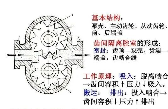 齿轮泵的基础知识